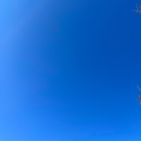 Meet your Posher, Casey - Picture 1 of 1